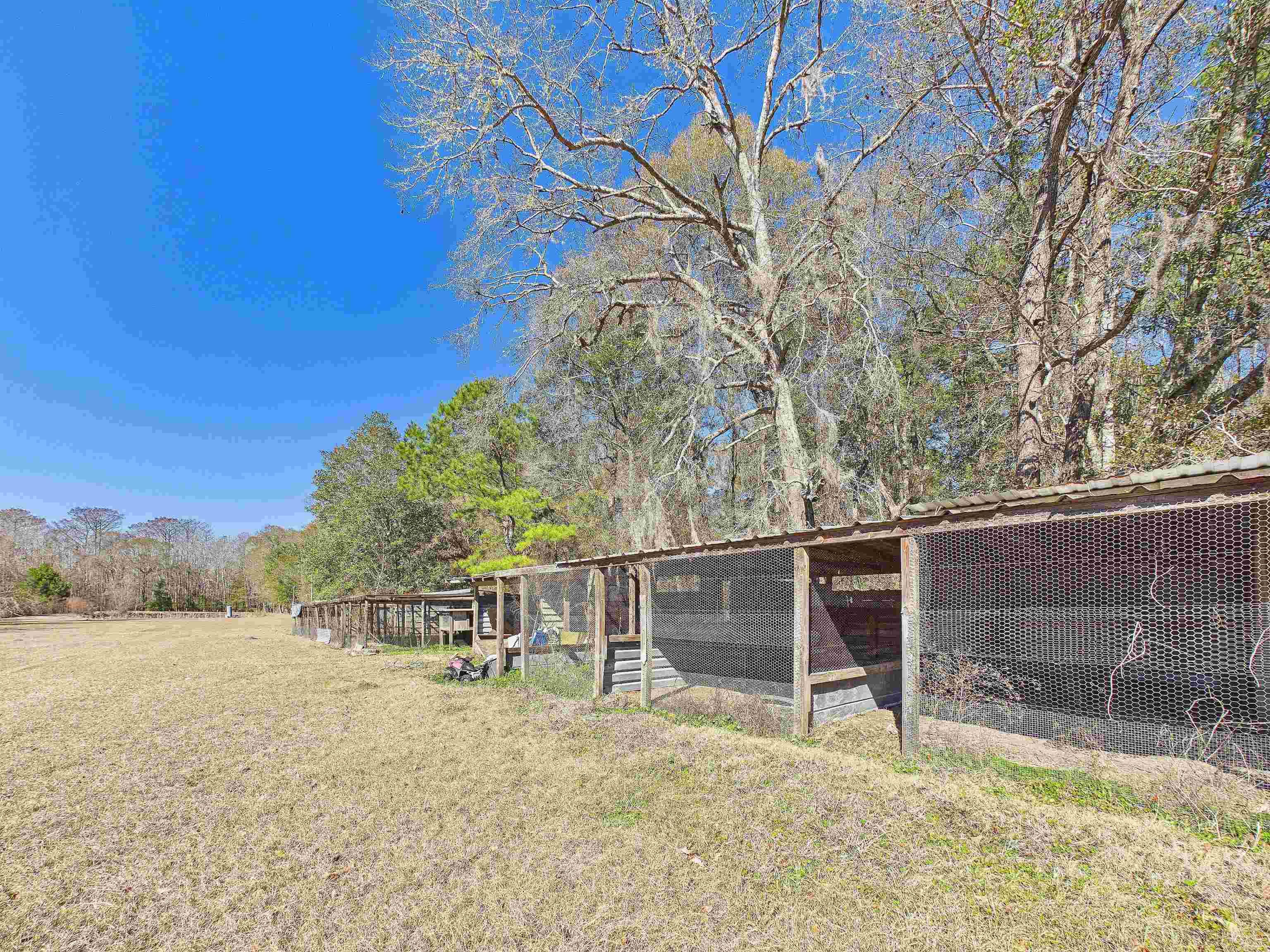 304 Limestone Road Monticello, FL 32344 - Photo 40 of 69