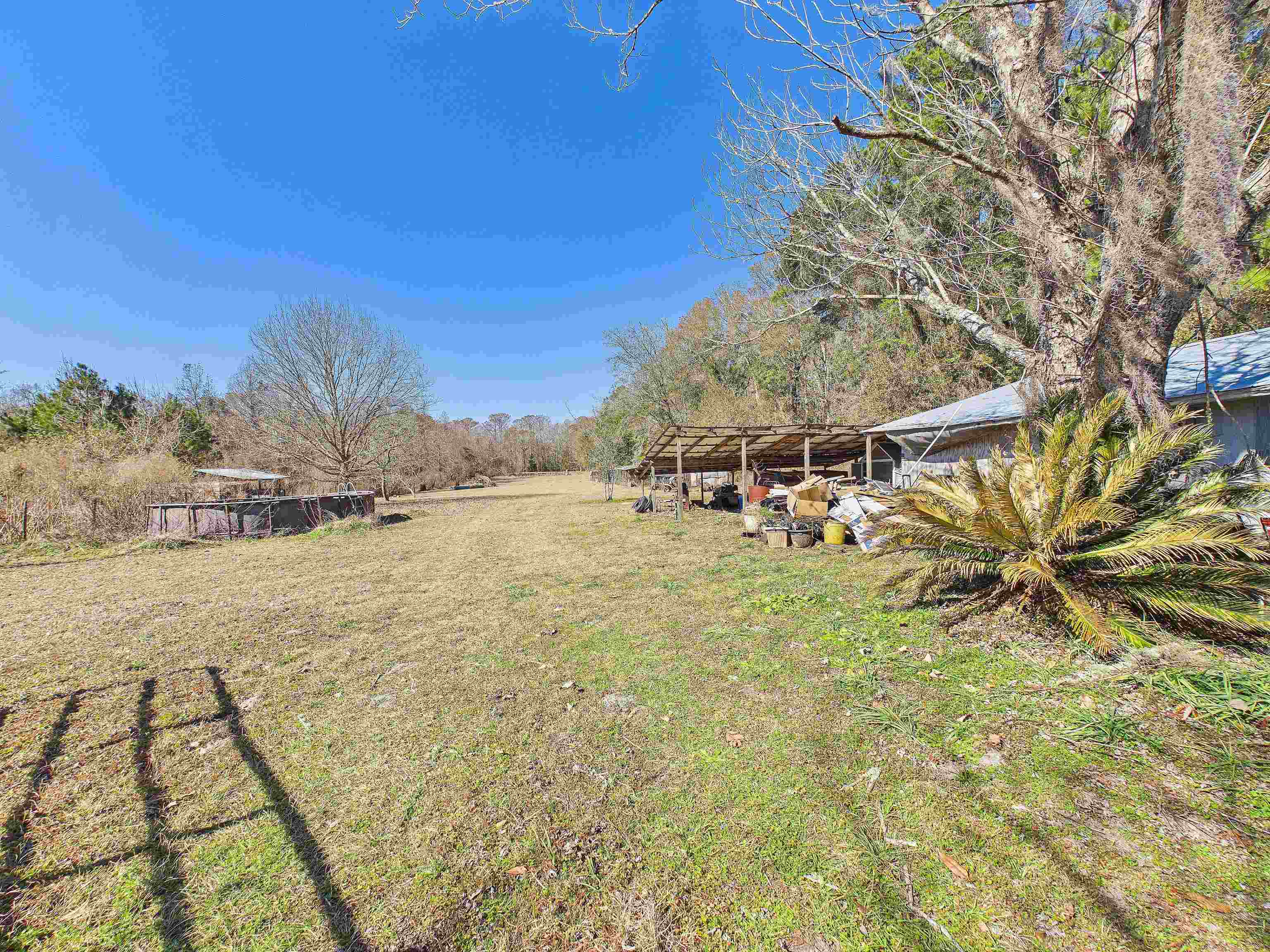 304 Limestone Road Monticello, FL 32344 - Photo 41 of 69