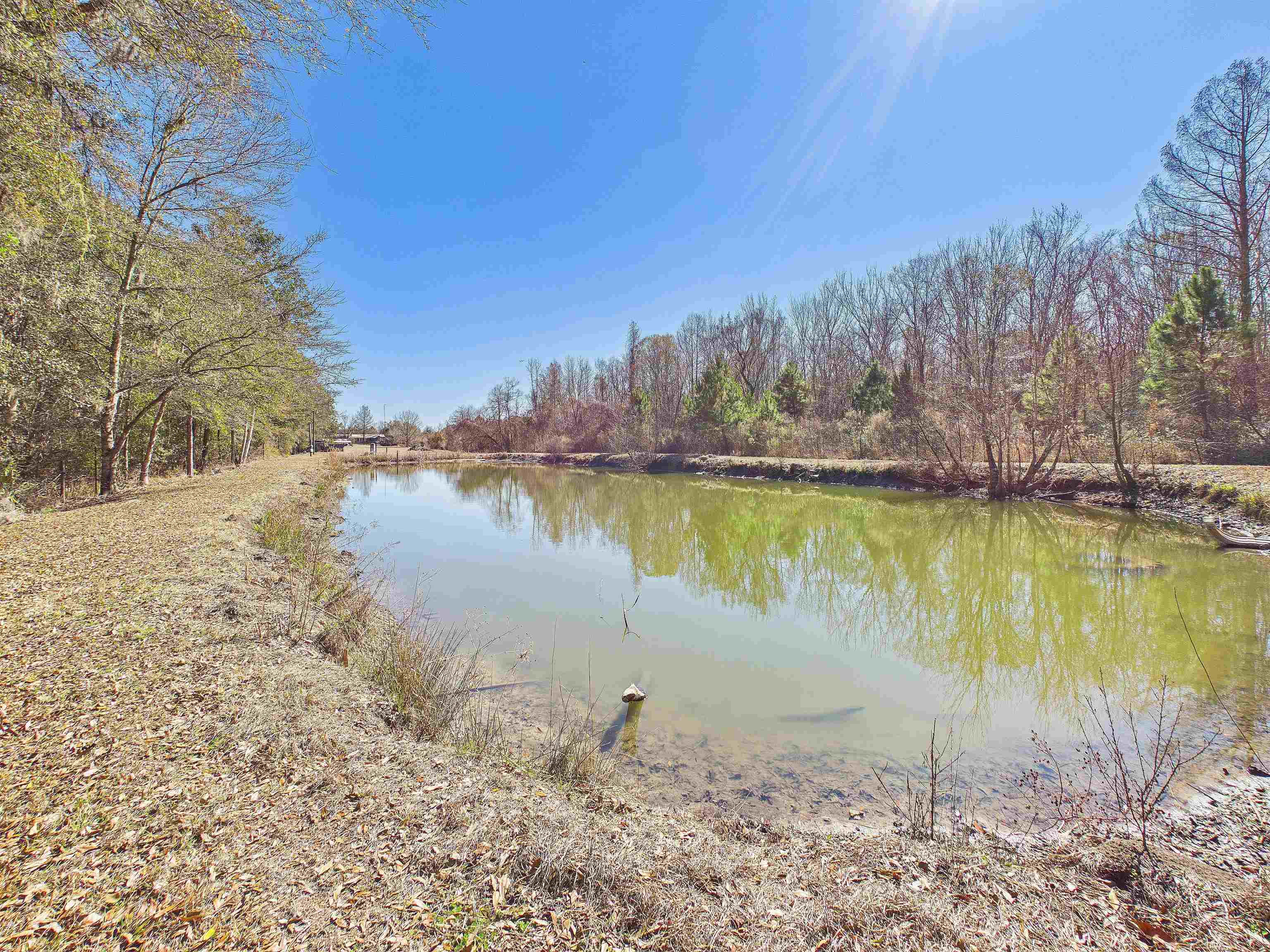 304 Limestone Road Monticello, FL 32344 - Photo 64 of 69