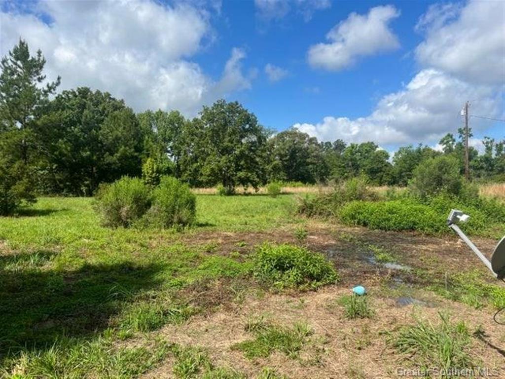 260 Buddy Cooper Road Singer, LA 70660 - Photo 5 of 23 Gallery Image 5