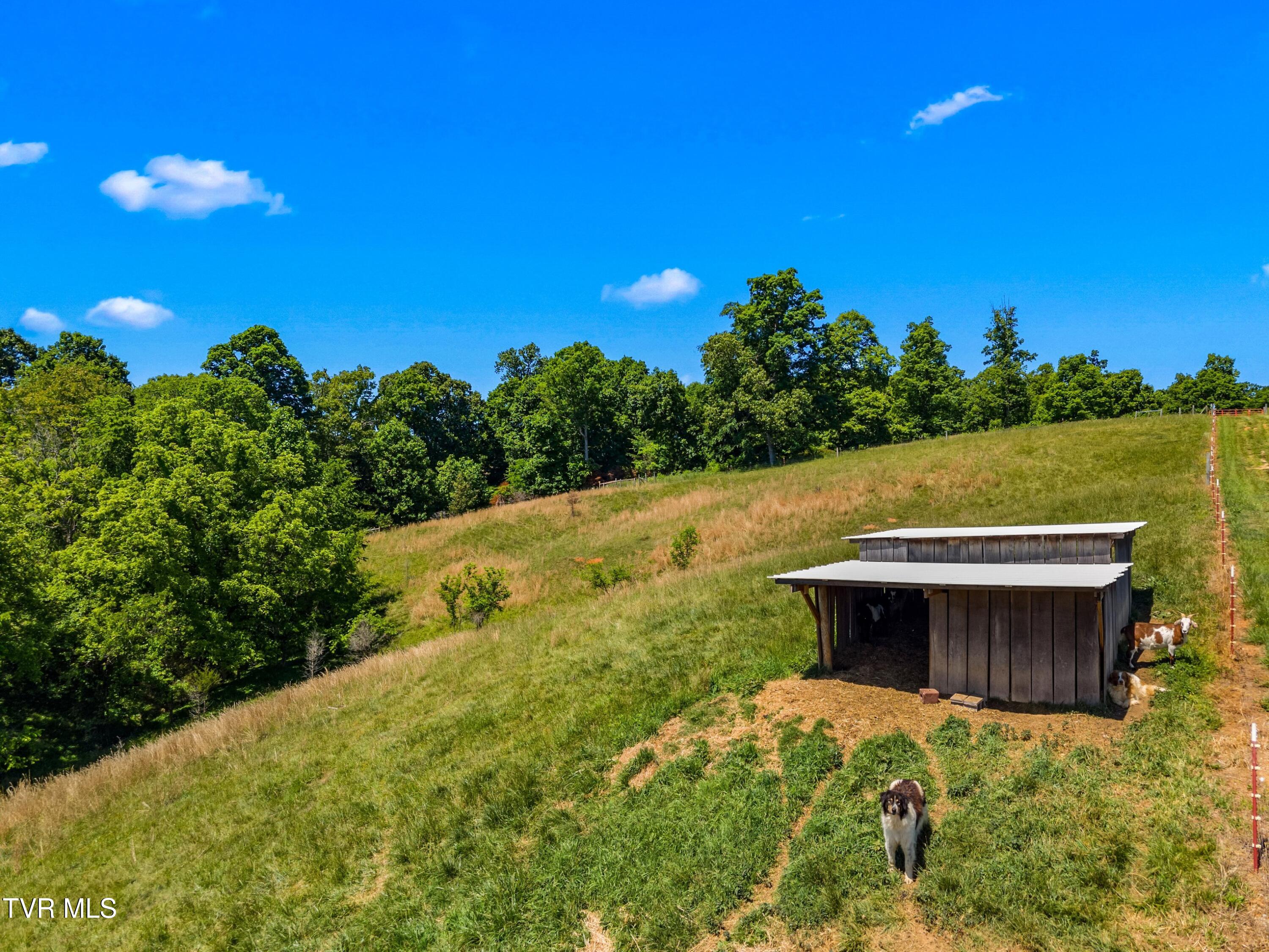 1945 Brown Springs Road Greeneville, TN 37743 - Photo 44 of 47 044-1945BrownSpringsRd-Greeneville-37743