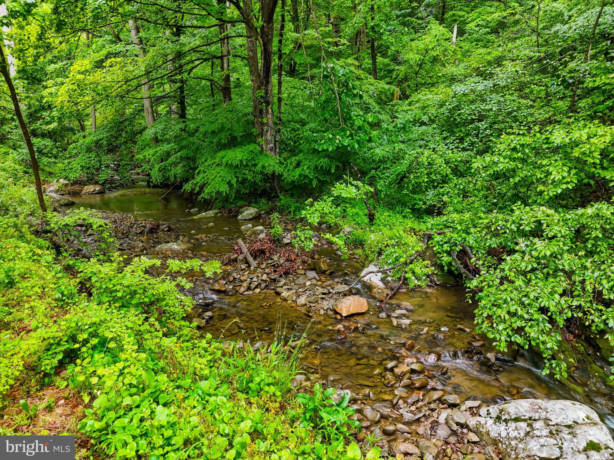 326 Keyser Run Road Washington, VA 22747 - Photo 32 of 33