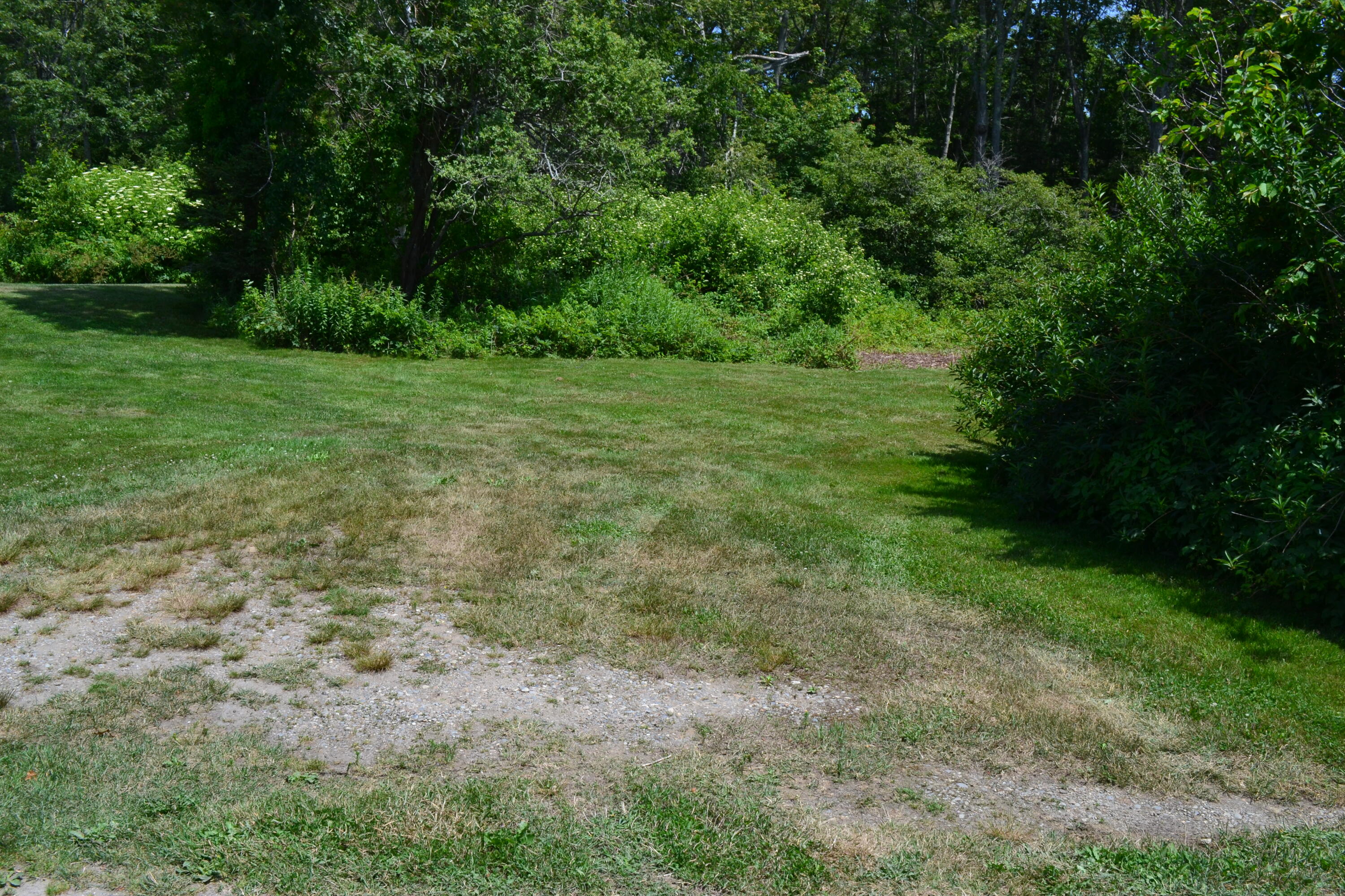 63 Bradley Shore Road Pemaquid, ME 04558 - Photo 9 of 22 DSC_0098