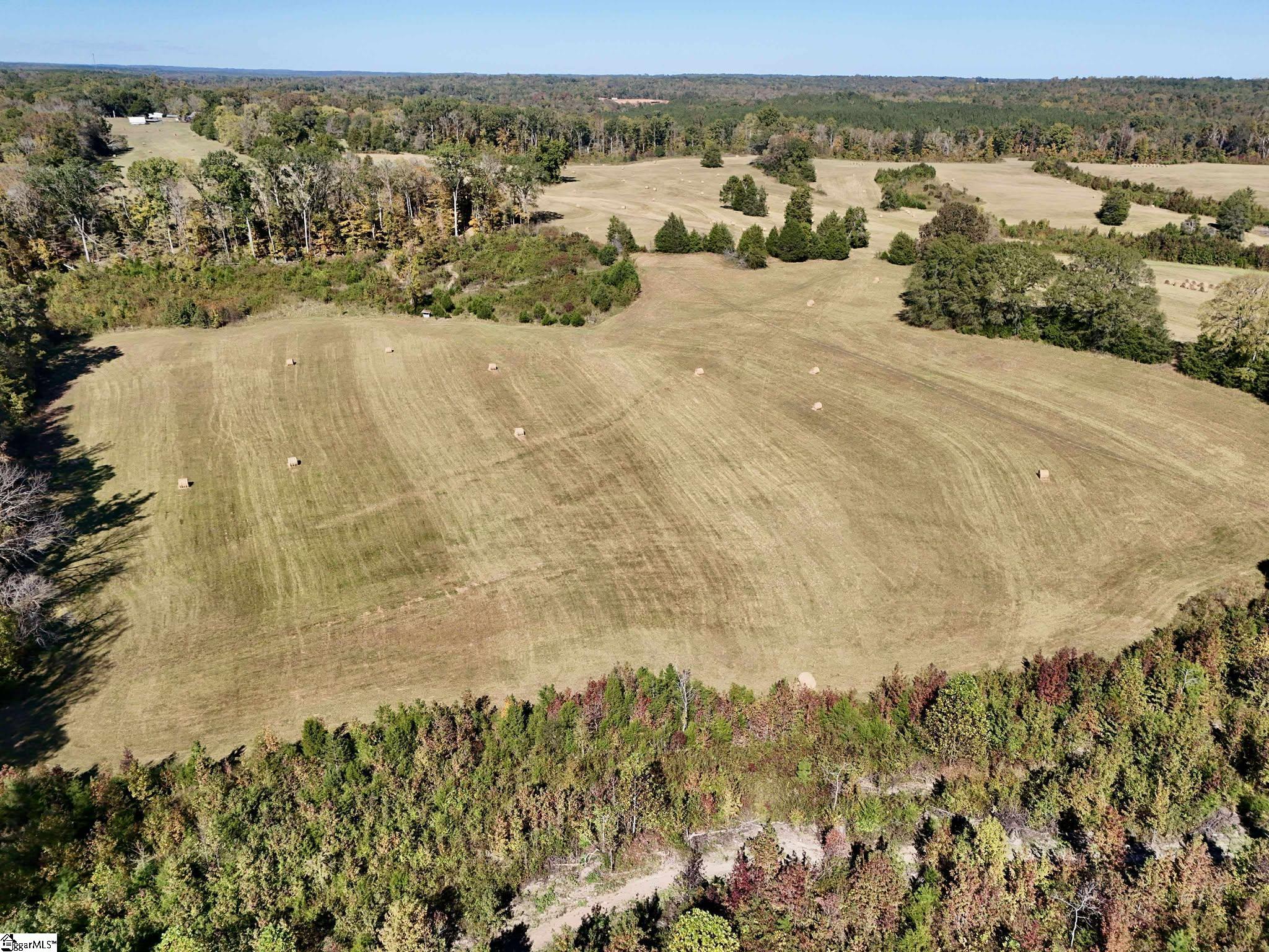 258 Dupree Farm Road Buffalo, SC 29321 - Photo 4 of 15