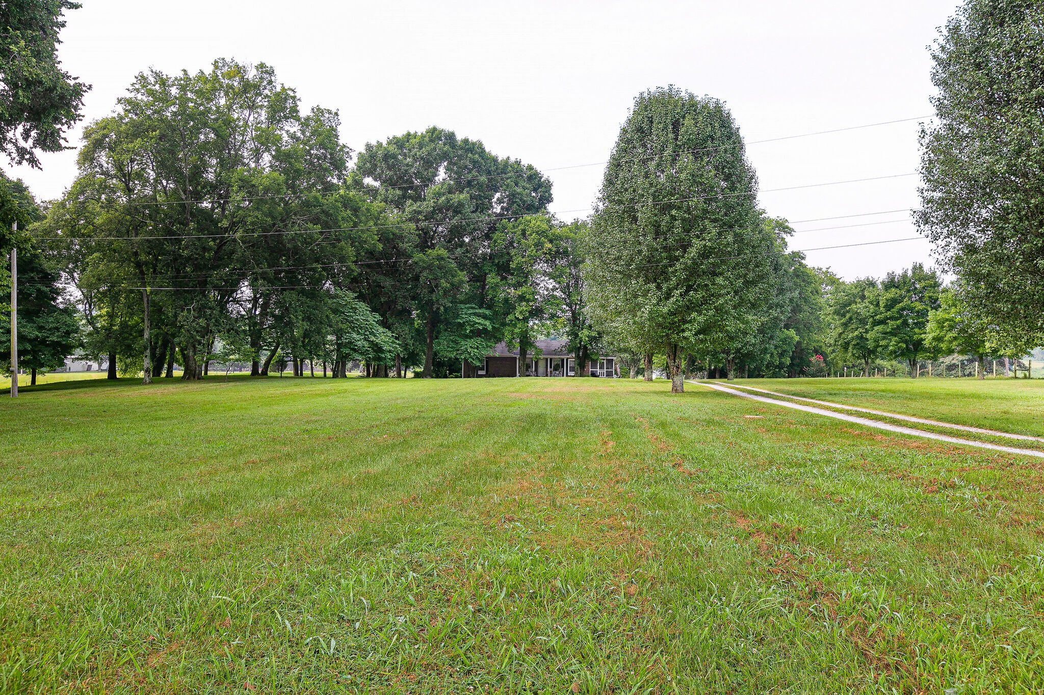 2116 Double Branch Road Columbia, TN 38401 - Photo 24 of 29 a view of outdoor space with deck and trees