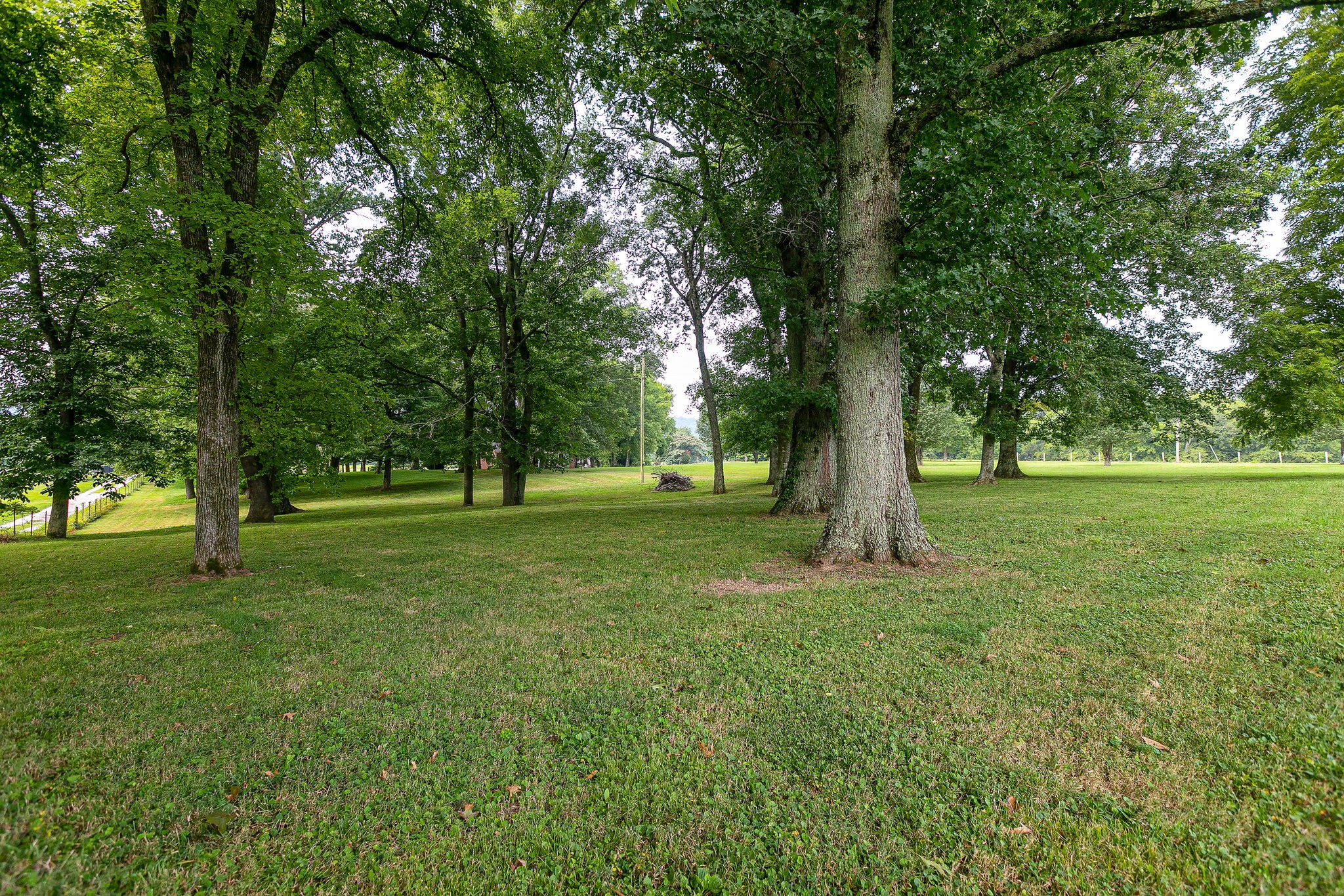 2116 Double Branch Road Columbia, TN 38401 - Photo 25 of 29 a view of a tree in a park