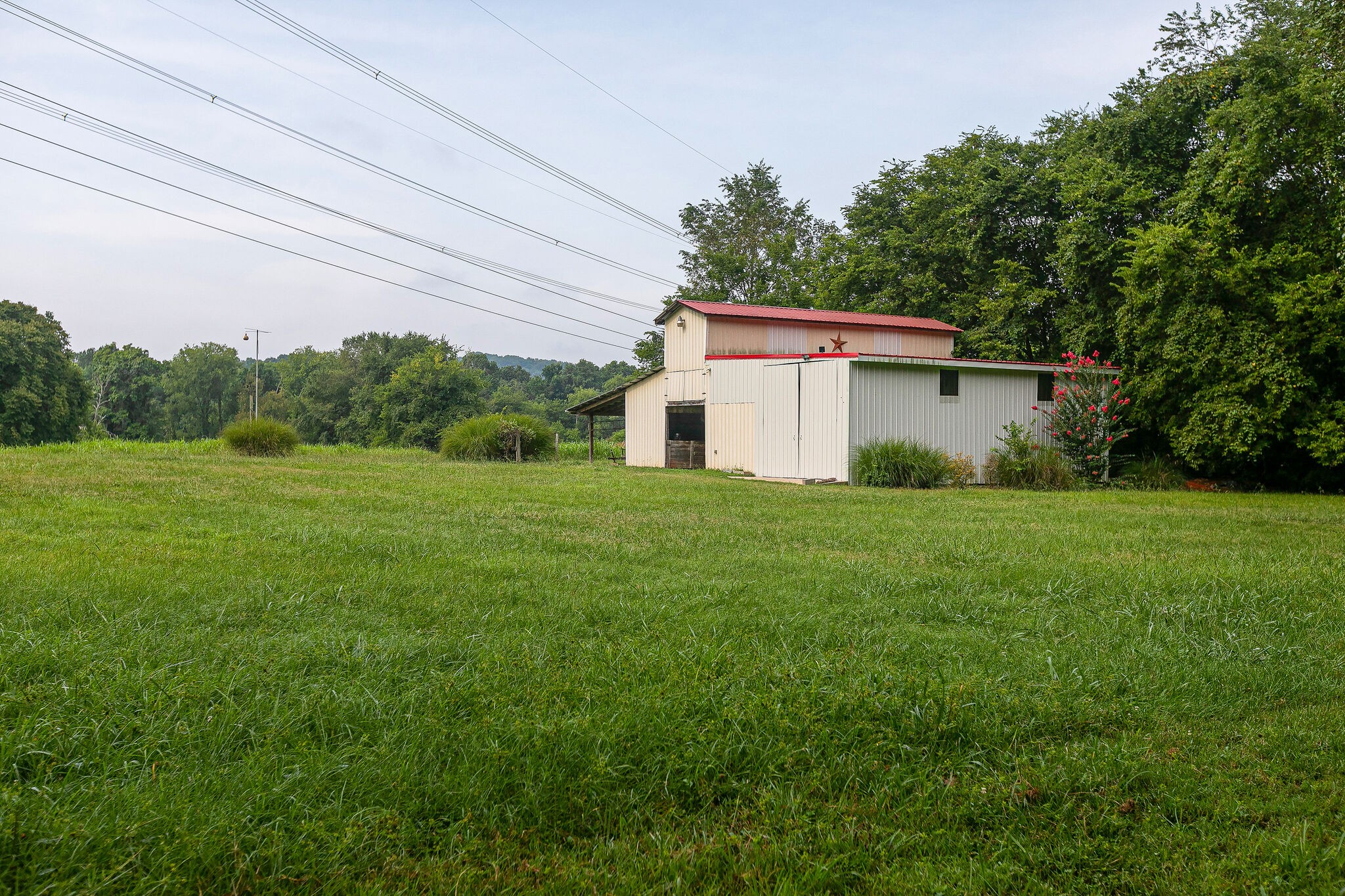 2116 Double Branch Road Columbia, TN 38401 - Photo 28 of 29 a view of a backyard with plants and large trees