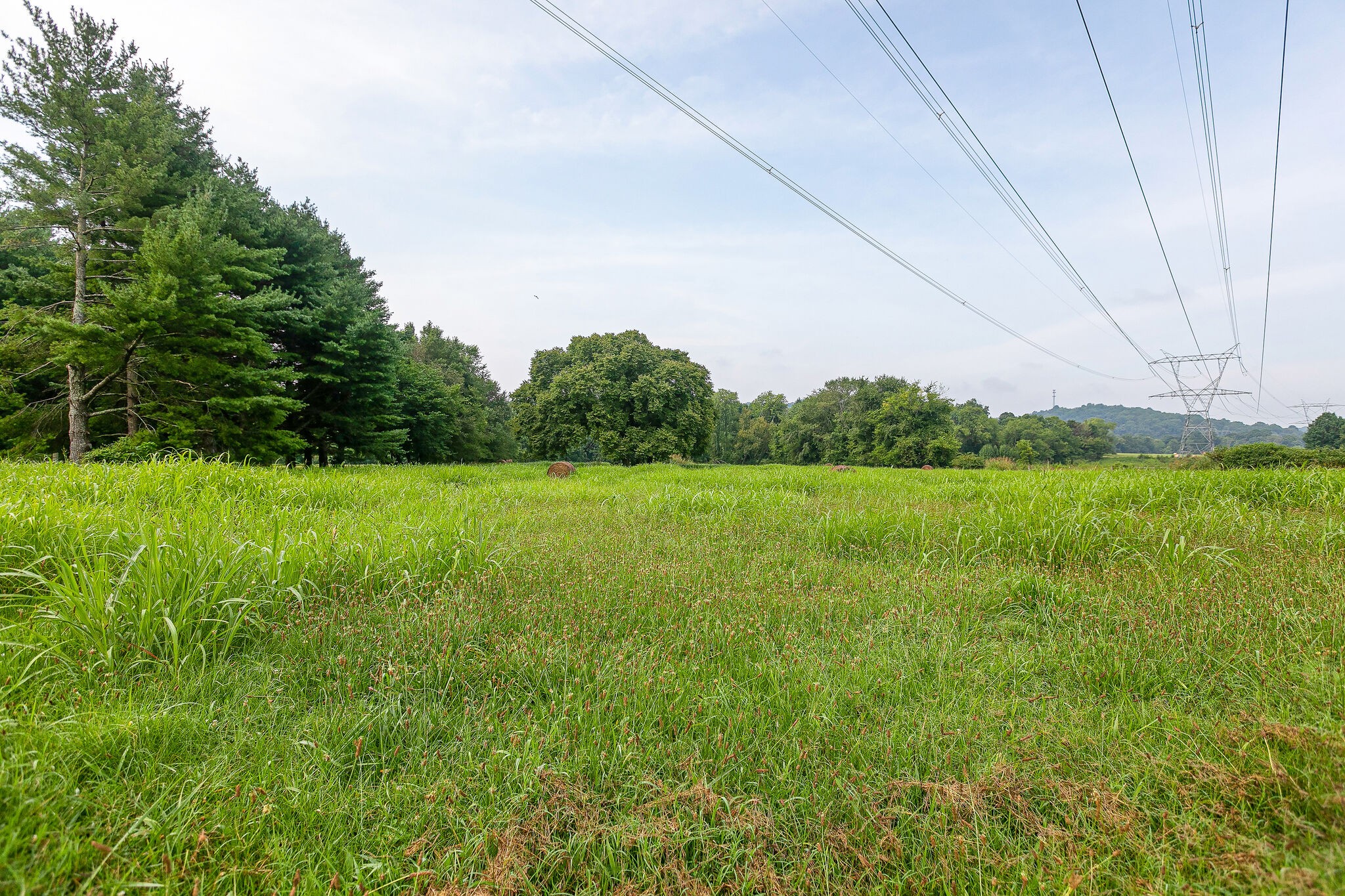 2116 Double Branch Road Columbia, TN 38401 - Photo 29 of 29 a view of a field with a big yard