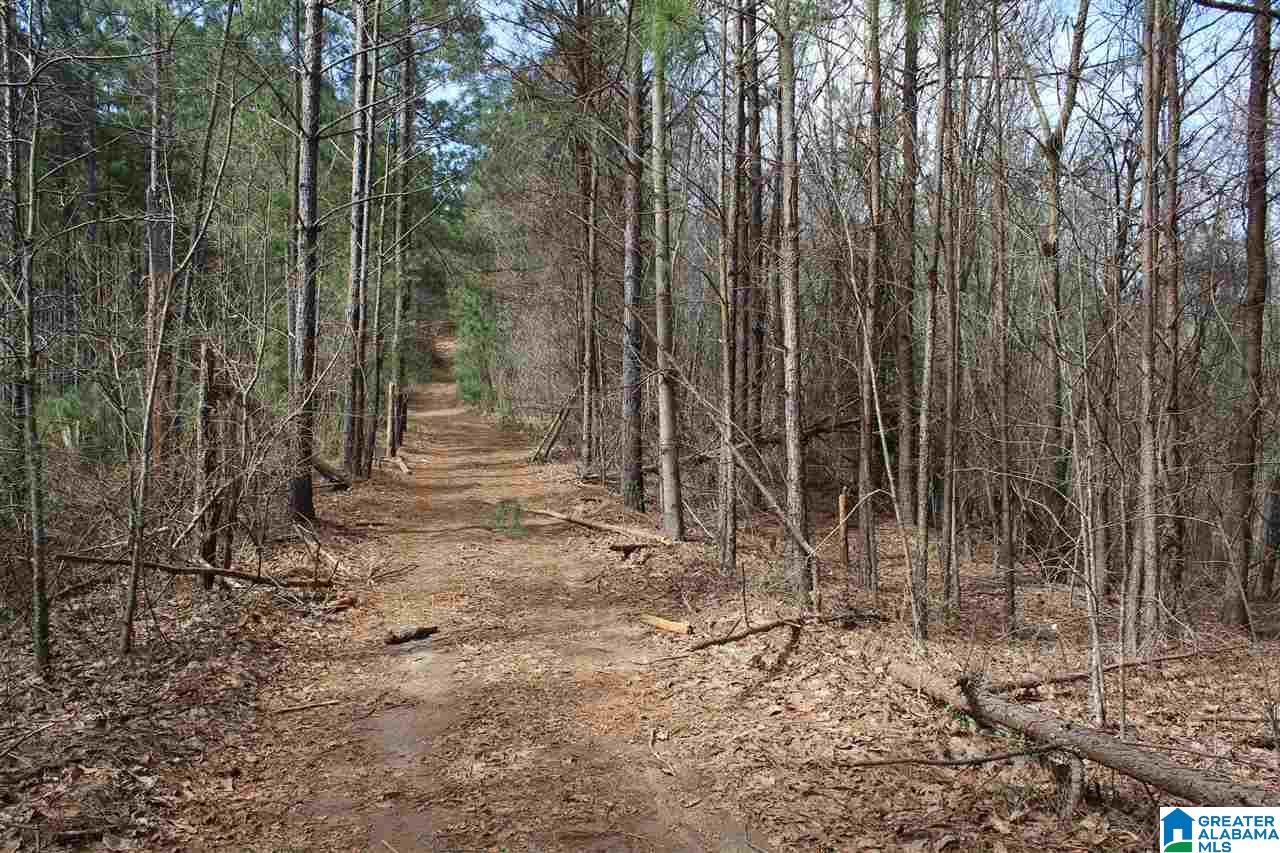 0 County Road 893 Heflin, AL 36264 - Photo 17 of 17