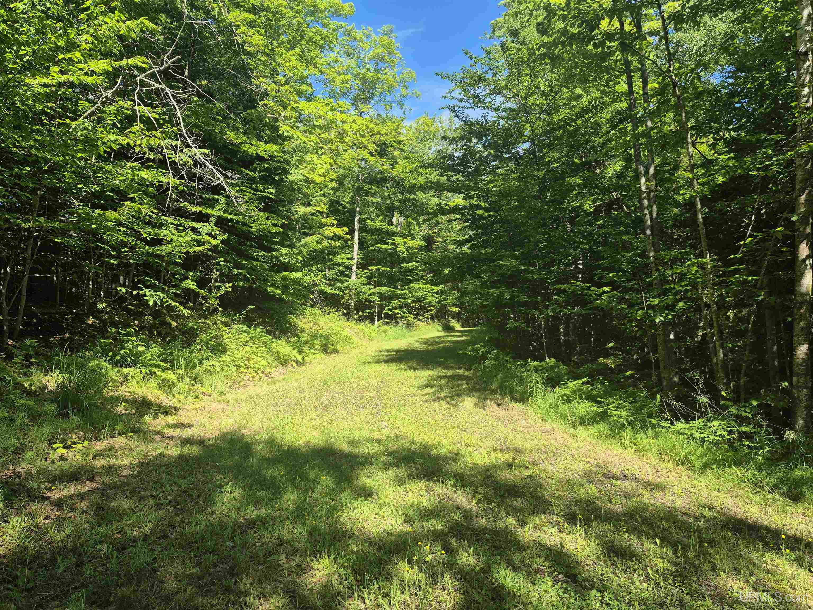 8-acres Nestor Road Munising, MI 49862 - Photo 33 of 43
