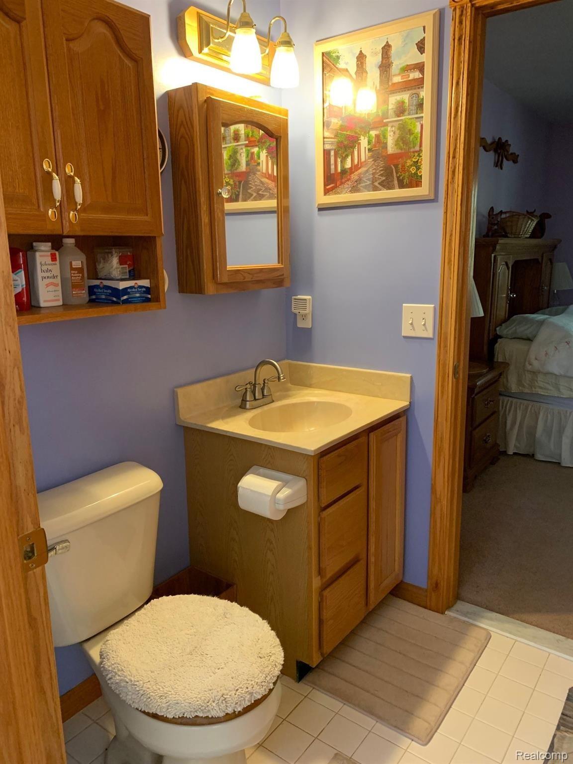 3831 Norton Road Howell, MI 48843 - Photo 37 of 44 master bath.jpg