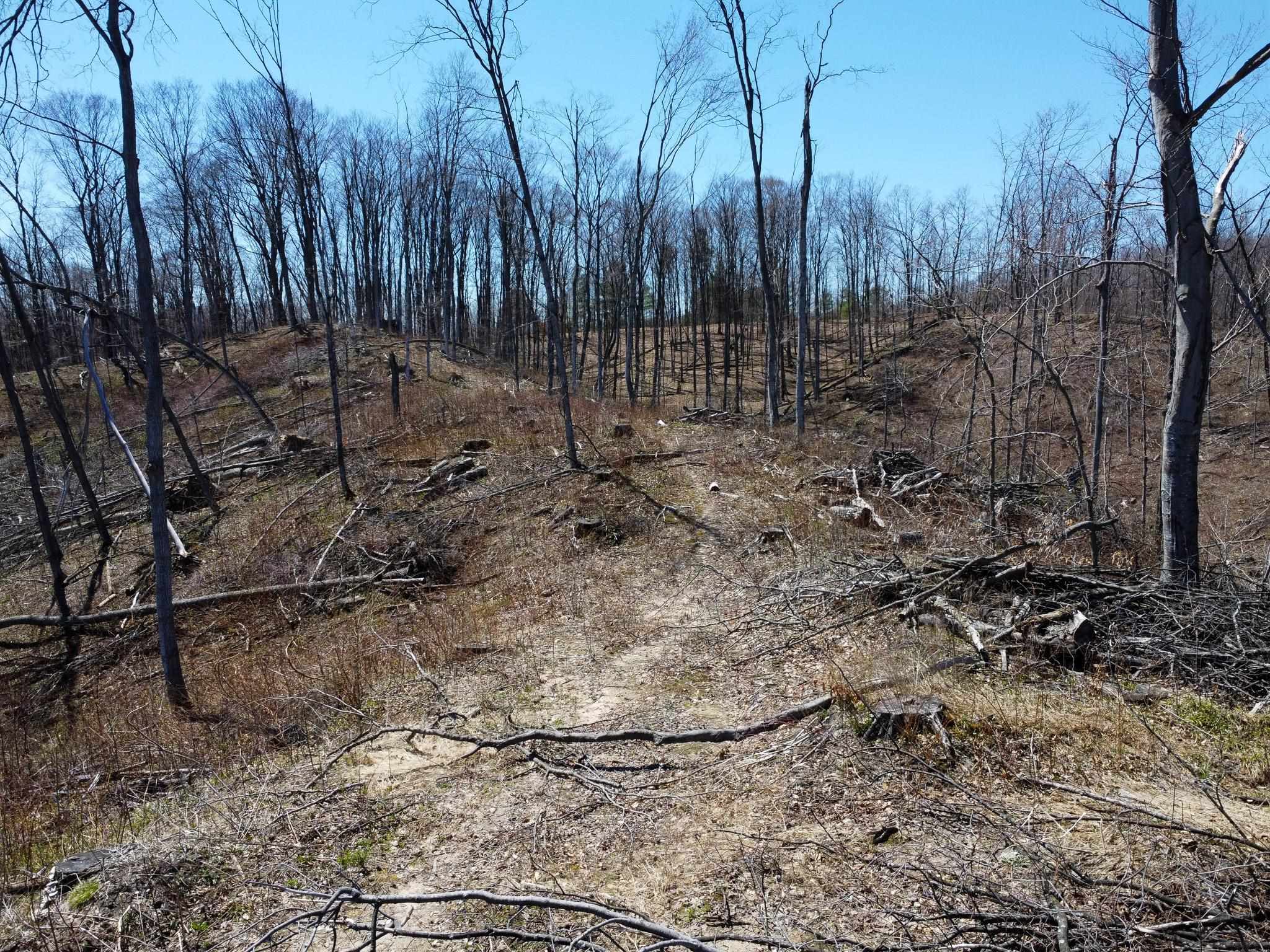 0 East Smiseth Road Suttons Bay, MI 49682 - Photo 16 of 67