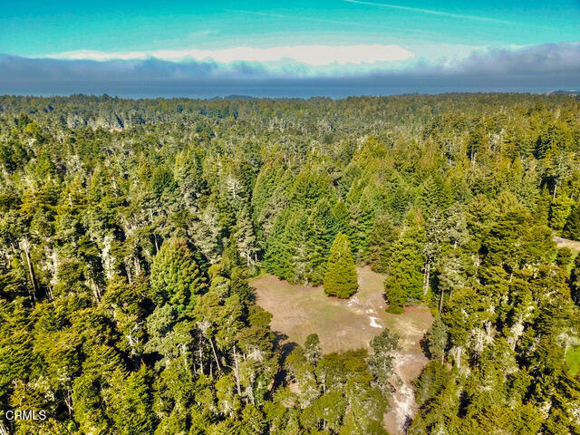 43535 Comptche Ukiah Road Mendocino, CA 95460 - Photo 12 of 12 Paradise!