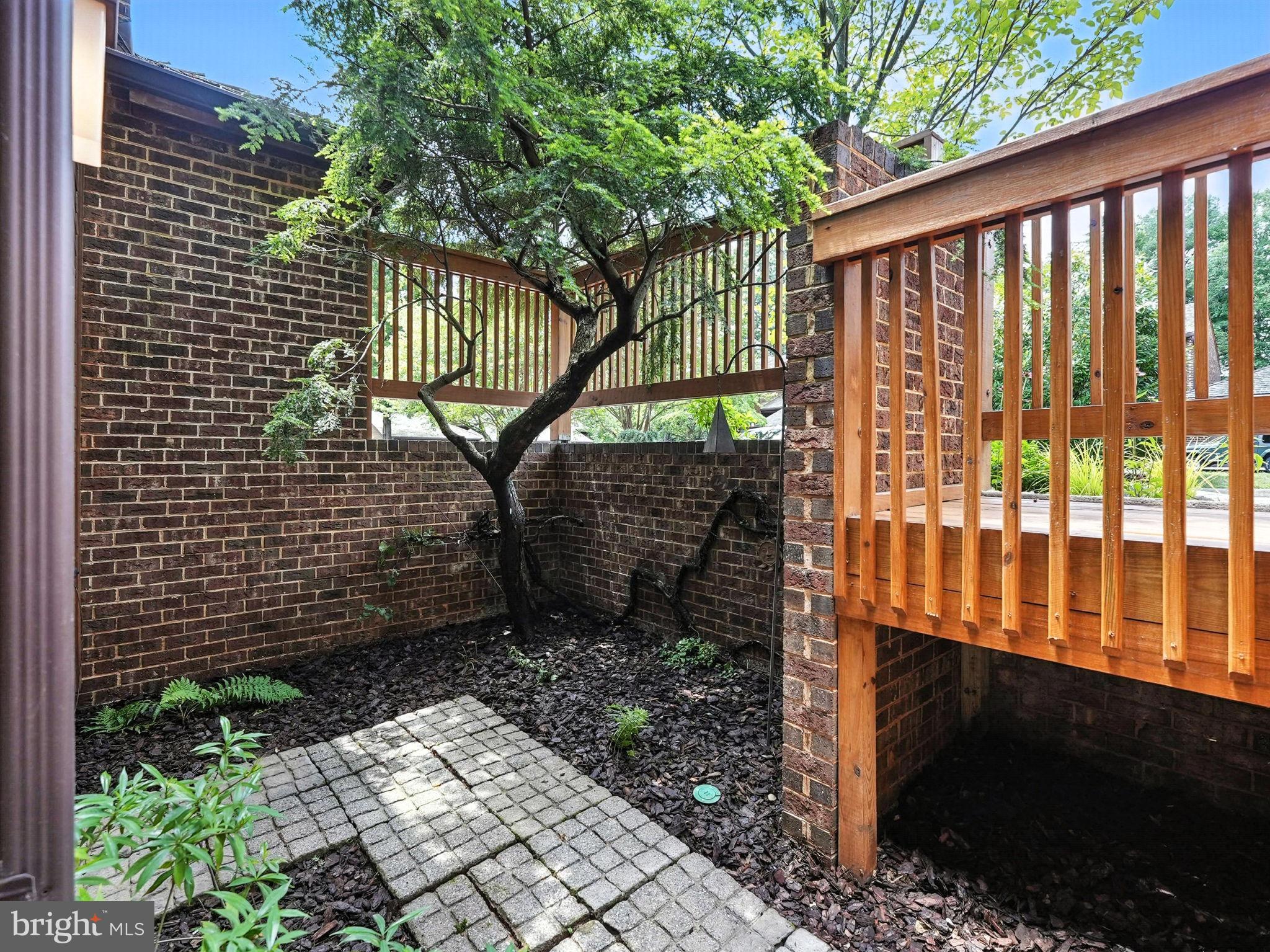 2151 Cabots Point Lane Reston, VA 20191 - Photo 4 of 71 a view of a yard with a trees