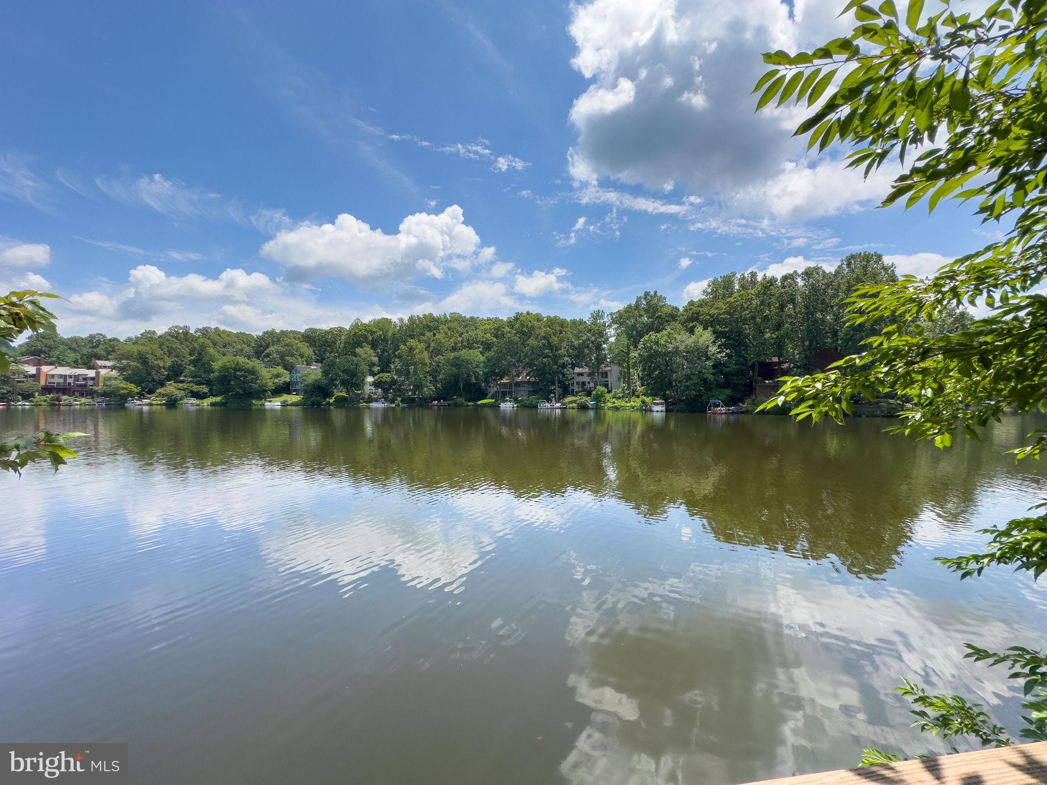 2151 Cabots Point Lane Reston, VA 20191 - Photo 54 of 71 a view of a lake with houses in the back