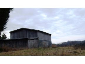 Lot 5 Poplar Springs Road, Unit 5 Greeneville, TN 37743 - Photo 4 of 10 Barn on Lot 5