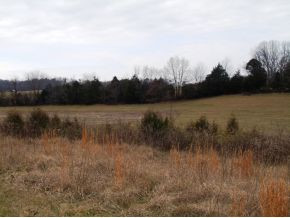 Lot 5 Poplar Springs Road, Unit 5 Greeneville, TN 37743 - Photo 6 of 10 Photo 6