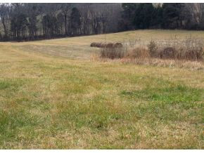 Lot 5 Poplar Springs Road, Unit 5 Greeneville, TN 37743 - Photo 8 of 10 Photo 8