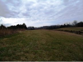 Lot 5 Poplar Springs Road, Unit 5 Greeneville, TN 37743 - Photo 9 of 10 Photo 9