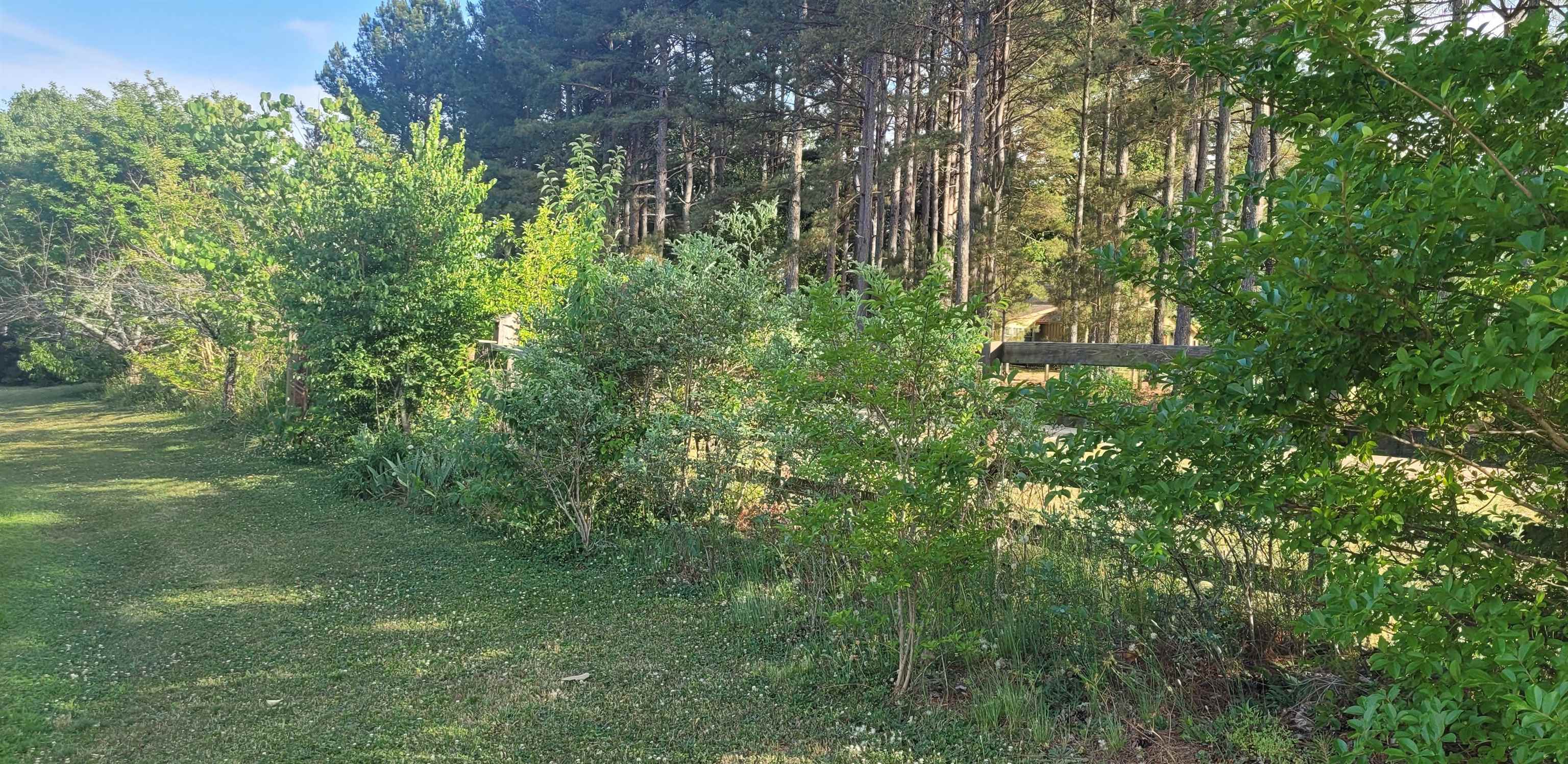 2035 Mt Lebanon Road Campobello, SC 29322 - Photo 19 of 21