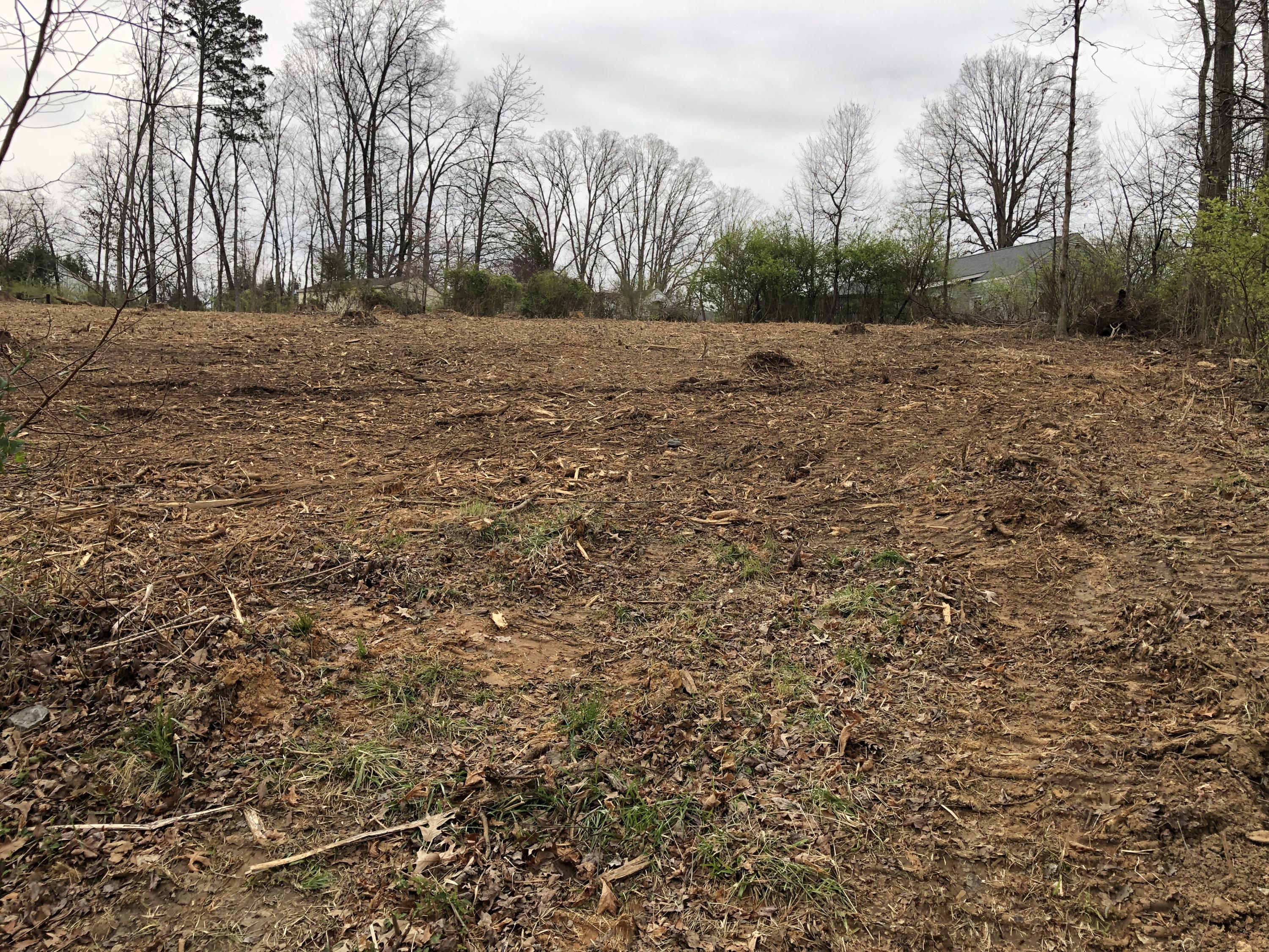 Aster Road Knoxville, TN 37918 - Photo 1 of 1 Lot 1