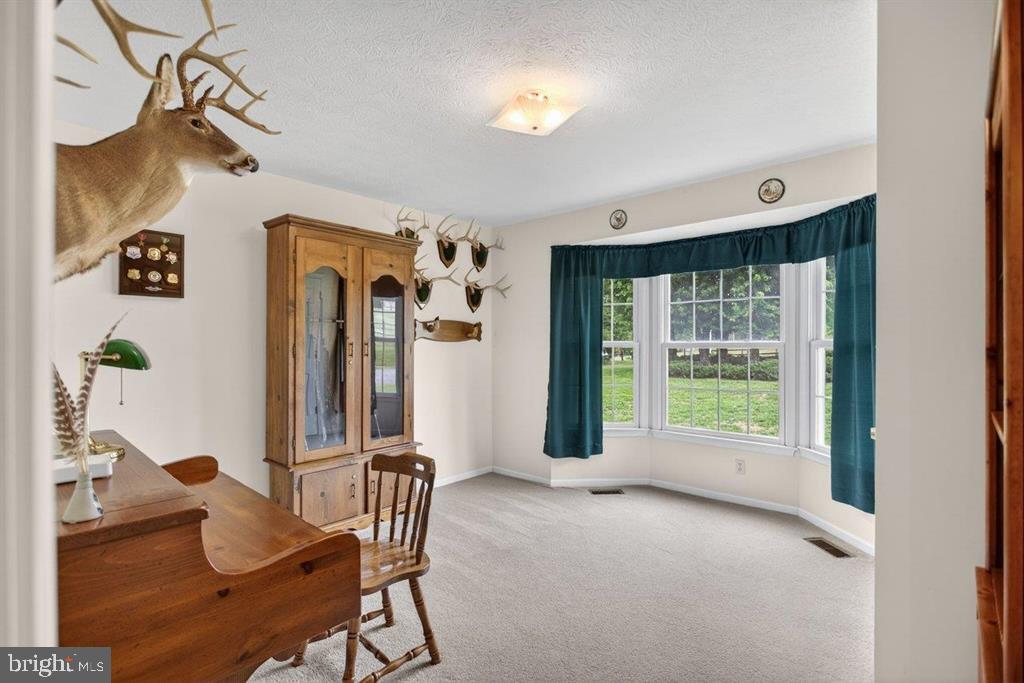 2220 Pine Woods Road Quicksburg, VA 22847 - Photo 50 of 55