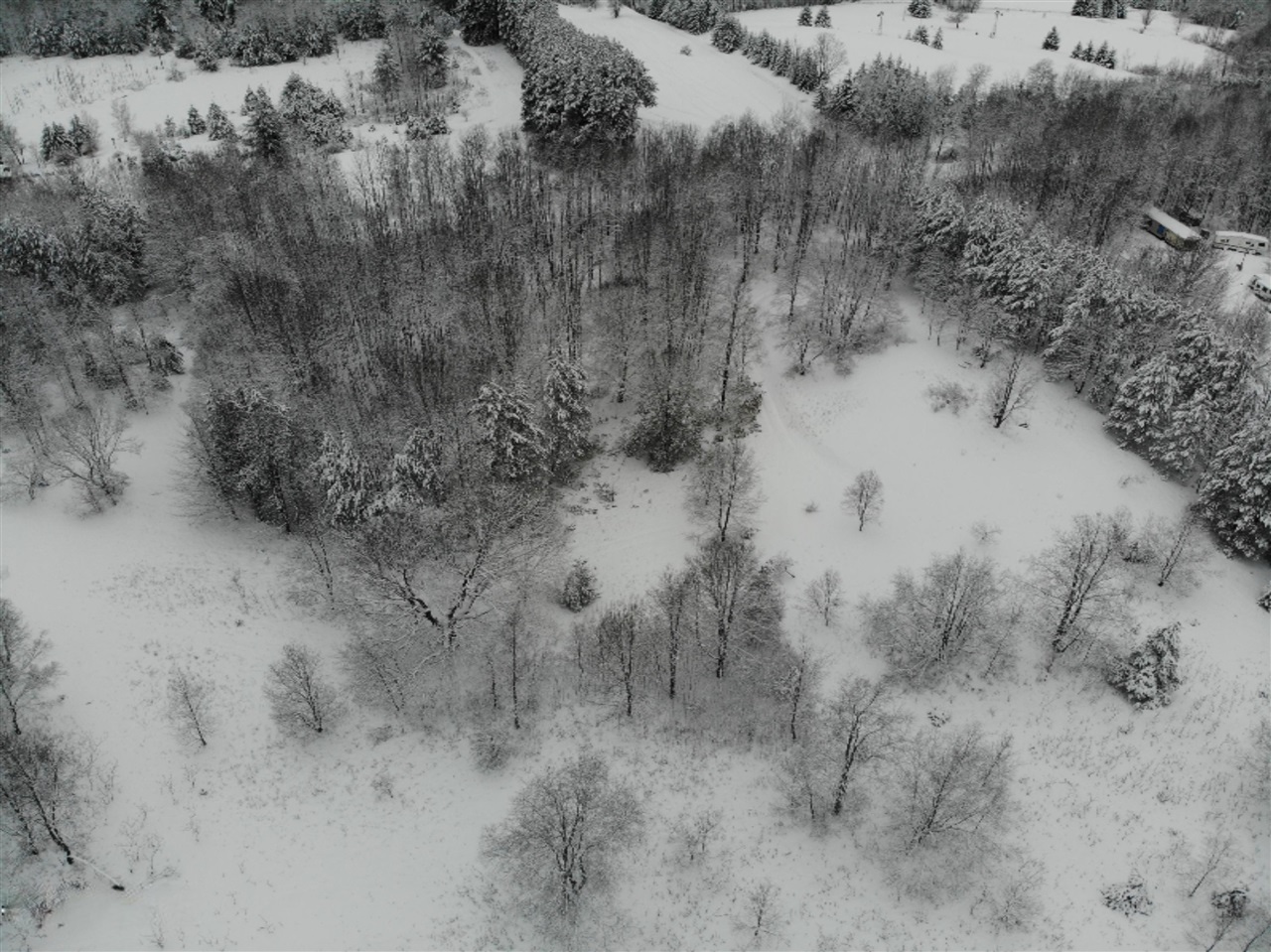 19 19 Mile Road Leroy, MI 49655 - Photo 1 of 30 Gallery Image 1