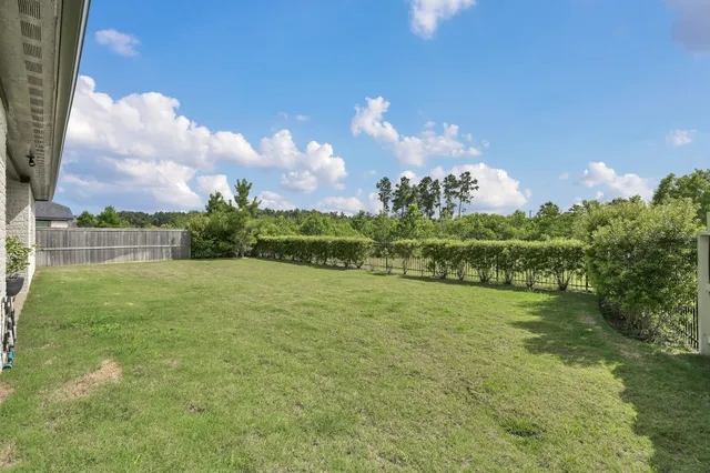a view of a golf course with plants