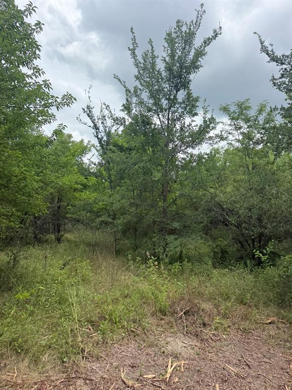 Tbd McKnight Road Ferris, TX 75125 - Photo 2 of 26