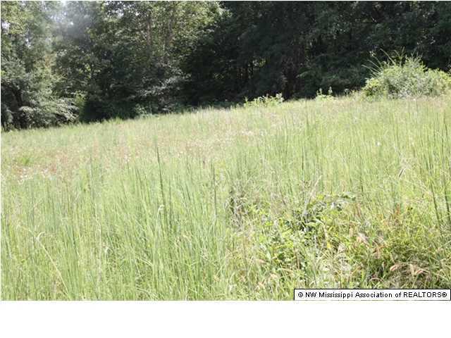 795 Breedlove Road Michigan City, MS 38647 - Photo 4 of 23 Additional Photo