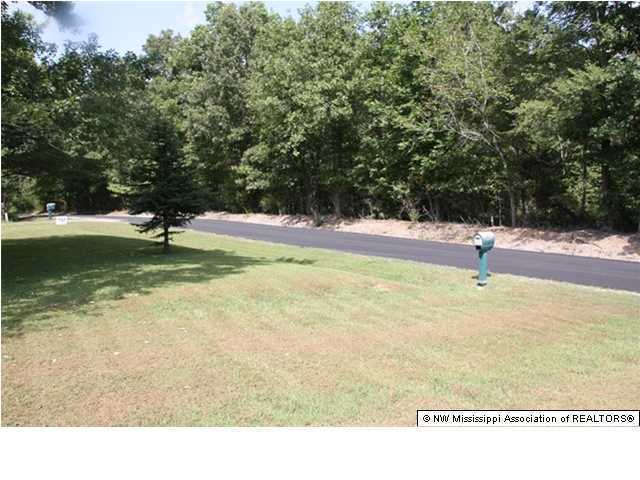 795 Breedlove Road Michigan City, MS 38647 - Photo 9 of 23 Additional Photo