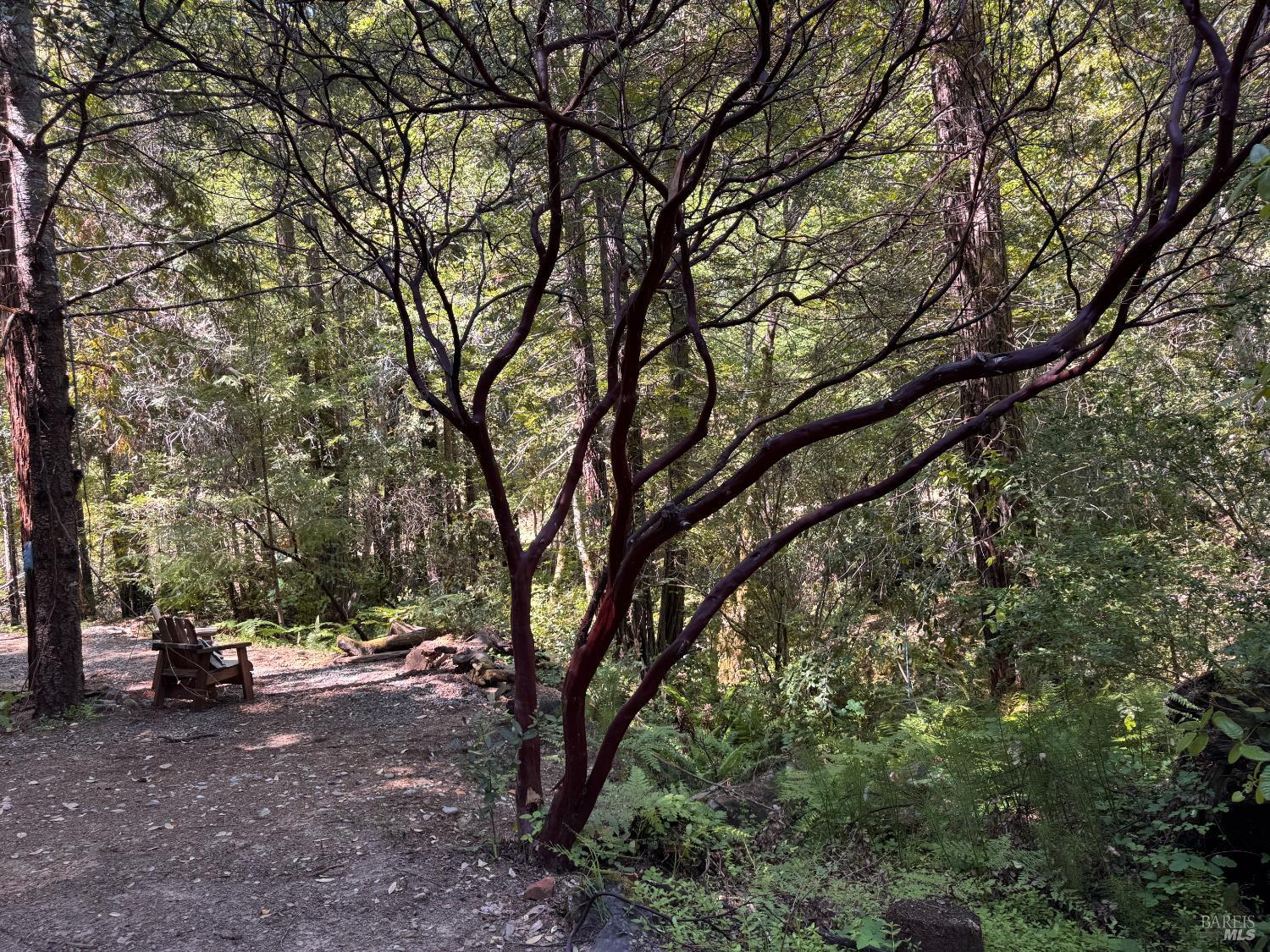 21530 Fort Ross Road Cazadero, CA 95421 - Photo 31 of 56