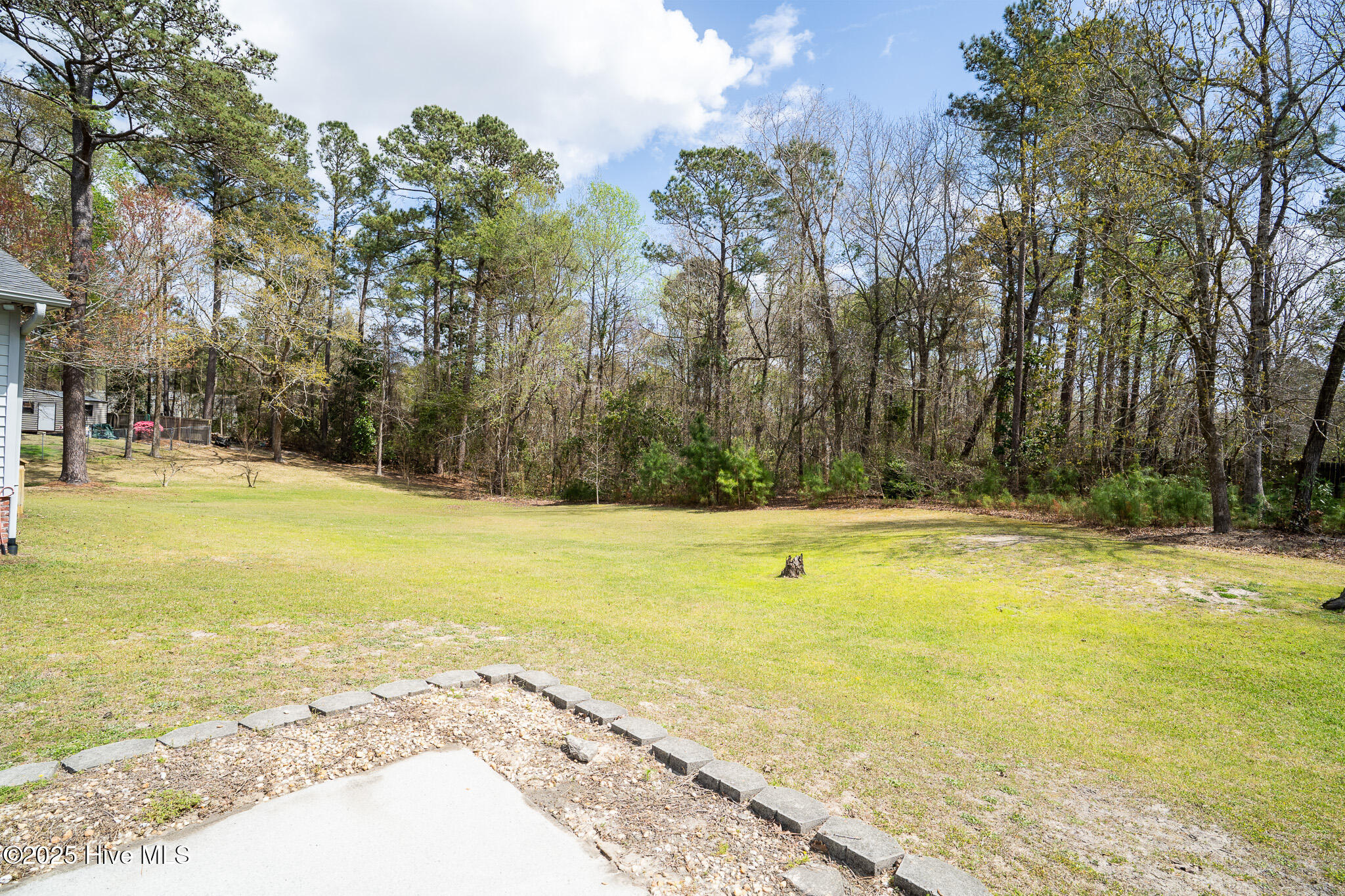 428 Ridge Road Jacksonville, NC 28540 - Photo 29 of 34 Large back yard