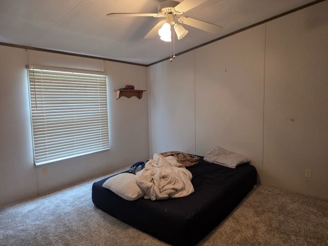 2035 Mt Hebron Road Makanda, IL 62958 - Photo 15 of 44