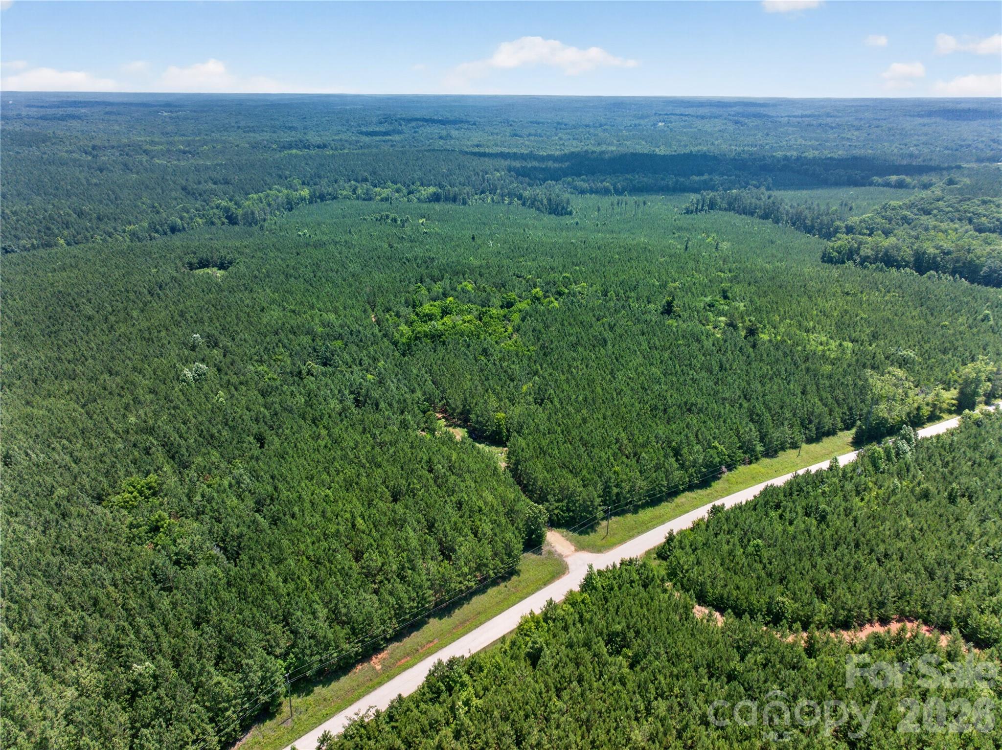 0 Blanton Road, Unit 2 Sharon, SC 29742 - Photo 1 of 43