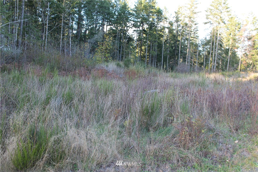 2281 East Johns Prairie Road Shelton, WA 98584 - Photo 16 of 20 Gallery Image 16