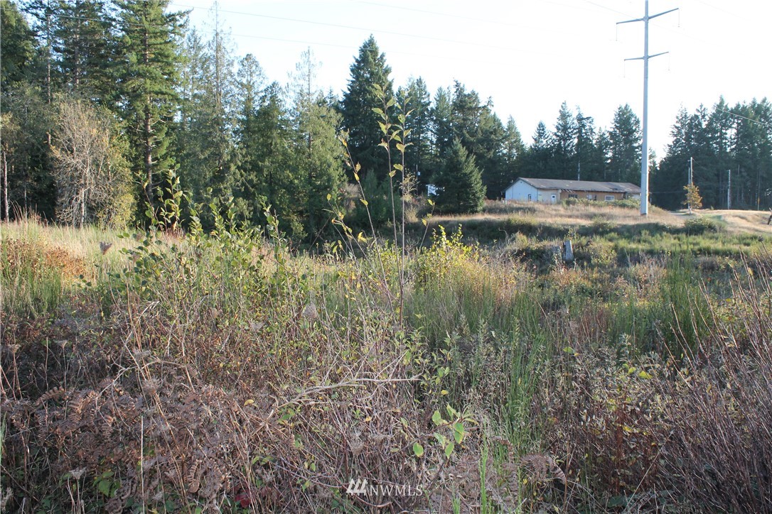 2281 East Johns Prairie Road Shelton, WA 98584 - Photo 17 of 20 Gallery Image 17