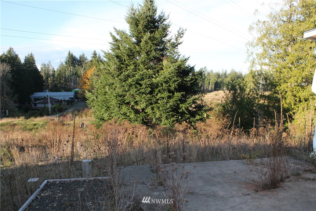 2281 East Johns Prairie Road Shelton, WA 98584 - Photo 6 of 20 Gallery Image 6