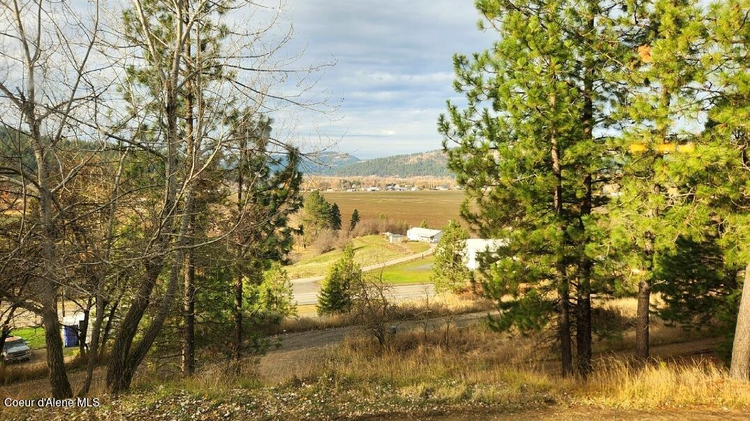 110 Highwood Drive St. Maries, ID 83861 - Photo 6 of 67 110 Highwood