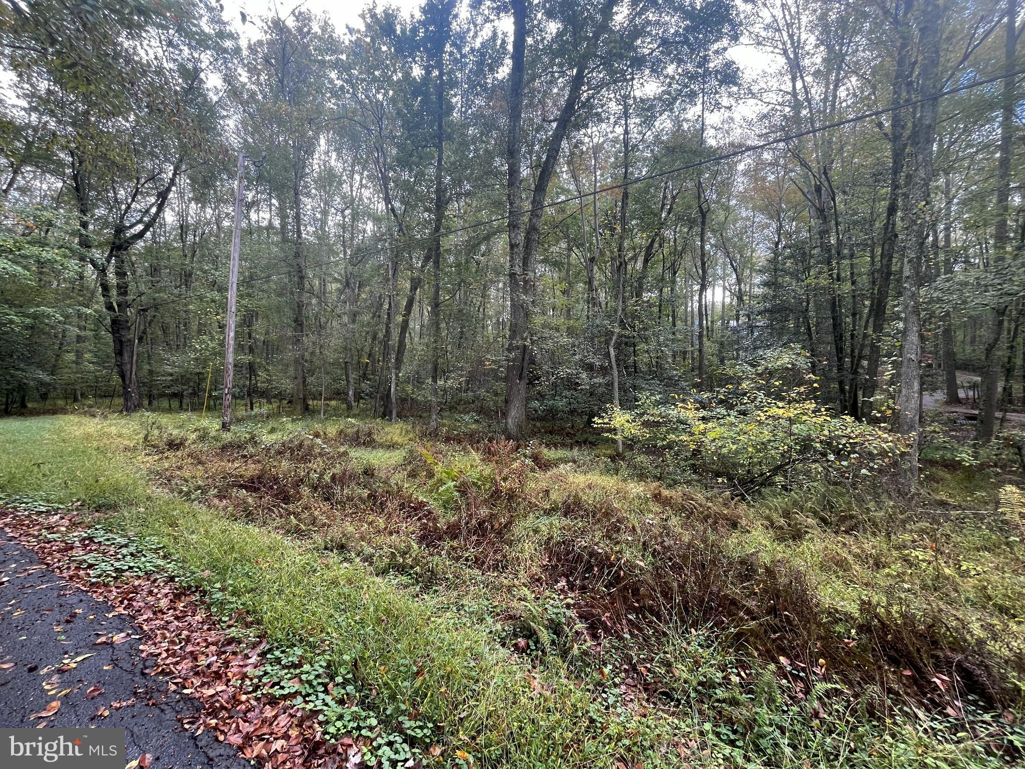 0 Unknown Avenue Brandywine, MD 20613 - Photo 3 of 7 a big yard with lots of green space and fog