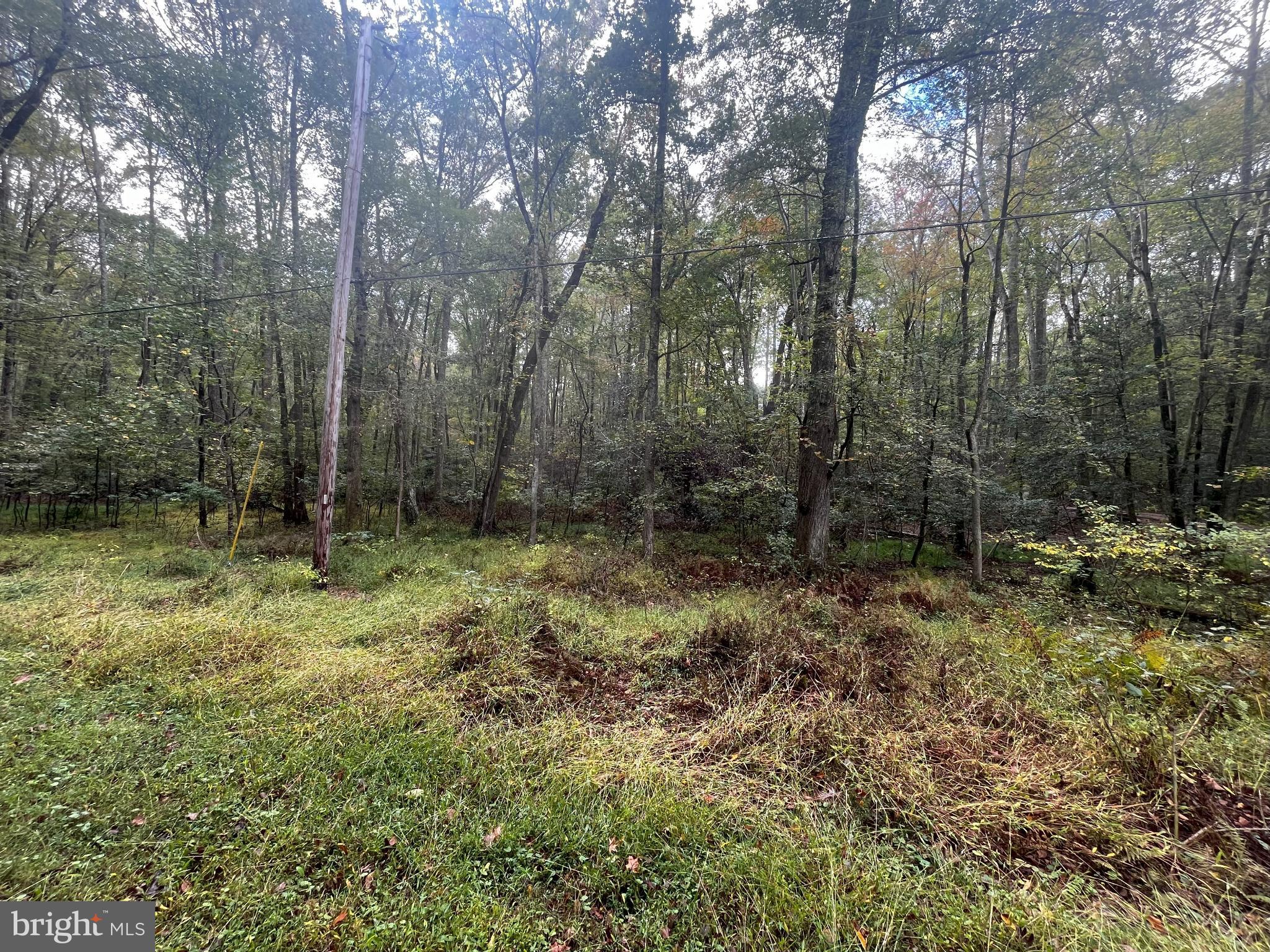 0 Unknown Avenue Brandywine, MD 20613 - Photo 5 of 7 a view of forest
