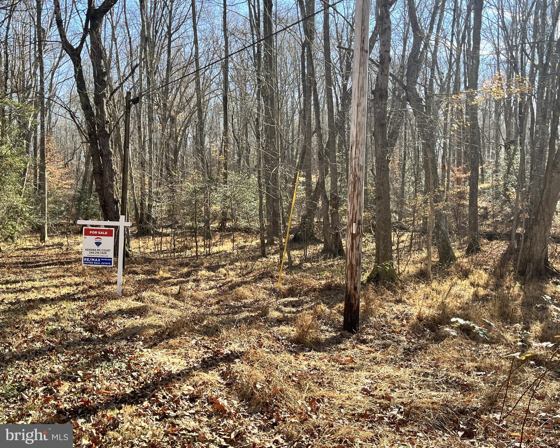 0 Unknown Avenue Brandywine, MD 20613 - Photo 6 of 7 a outdoor space with lots of trees