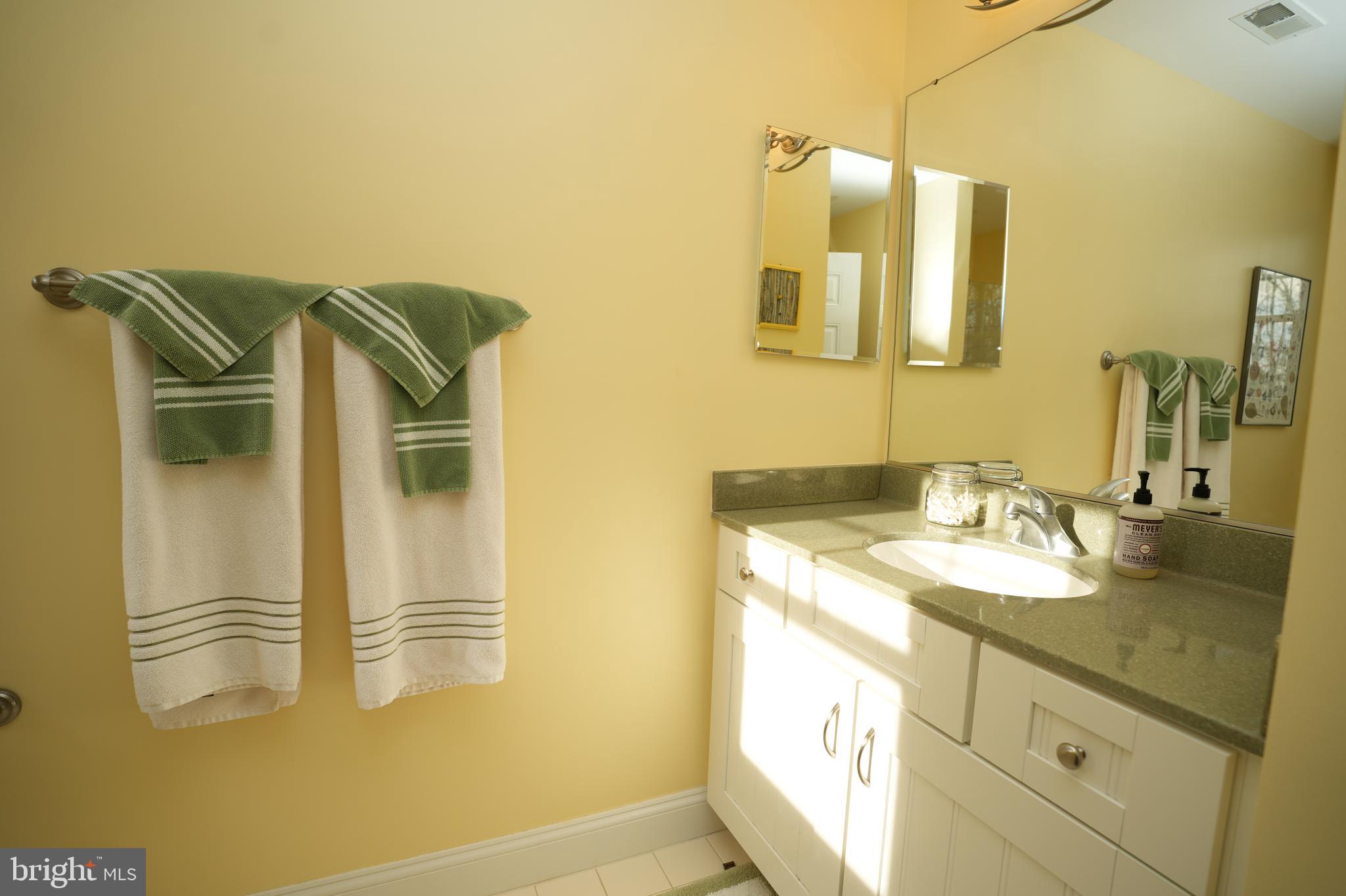 48830 Curleys Road Ridge, MD 20680 - Photo 41 of 65 a bathroom with a granite countertop sink and a mirror