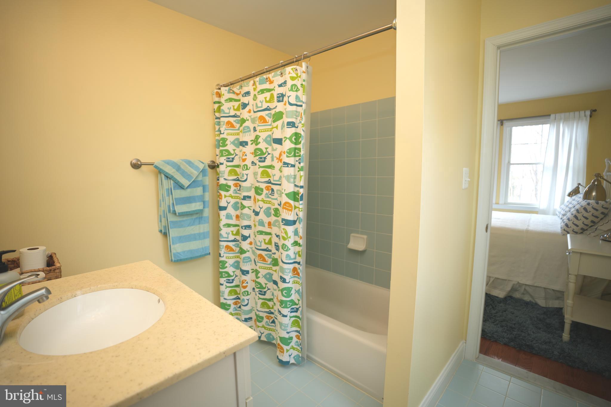 48830 Curleys Road Ridge, MD 20680 - Photo 45 of 65 a bathroom with a sink and a shower