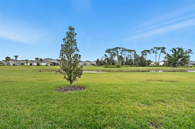 $2,299 | 5989 Timberdale Avenue, Wesley Chapel, FL 33545