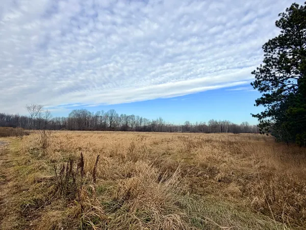 $99,000 | Xx Forest Boulevard, Rush City, MN 55069