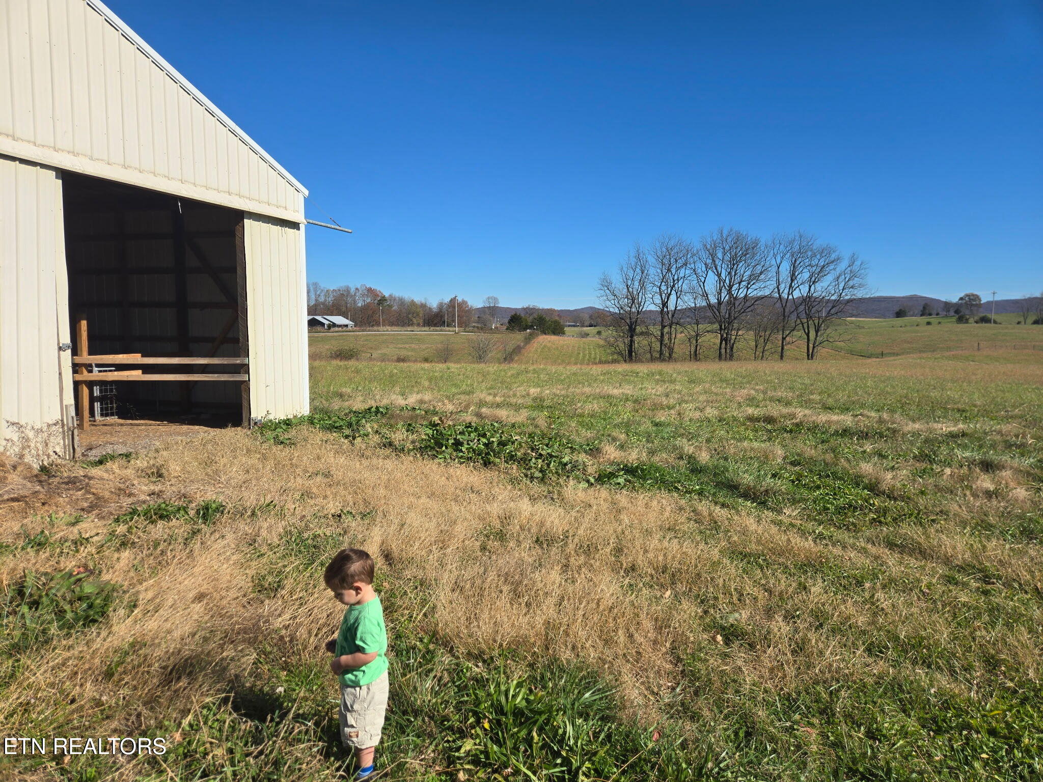Dogwalk Road Monroe, TN 38573 - Photo 2 of 30 DW 3