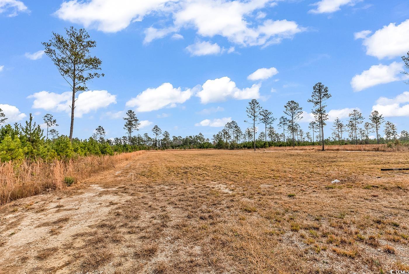 1274 Cheyenne Road Conway, SC 29526 - Photo 5 of 30 Gallery Image 5