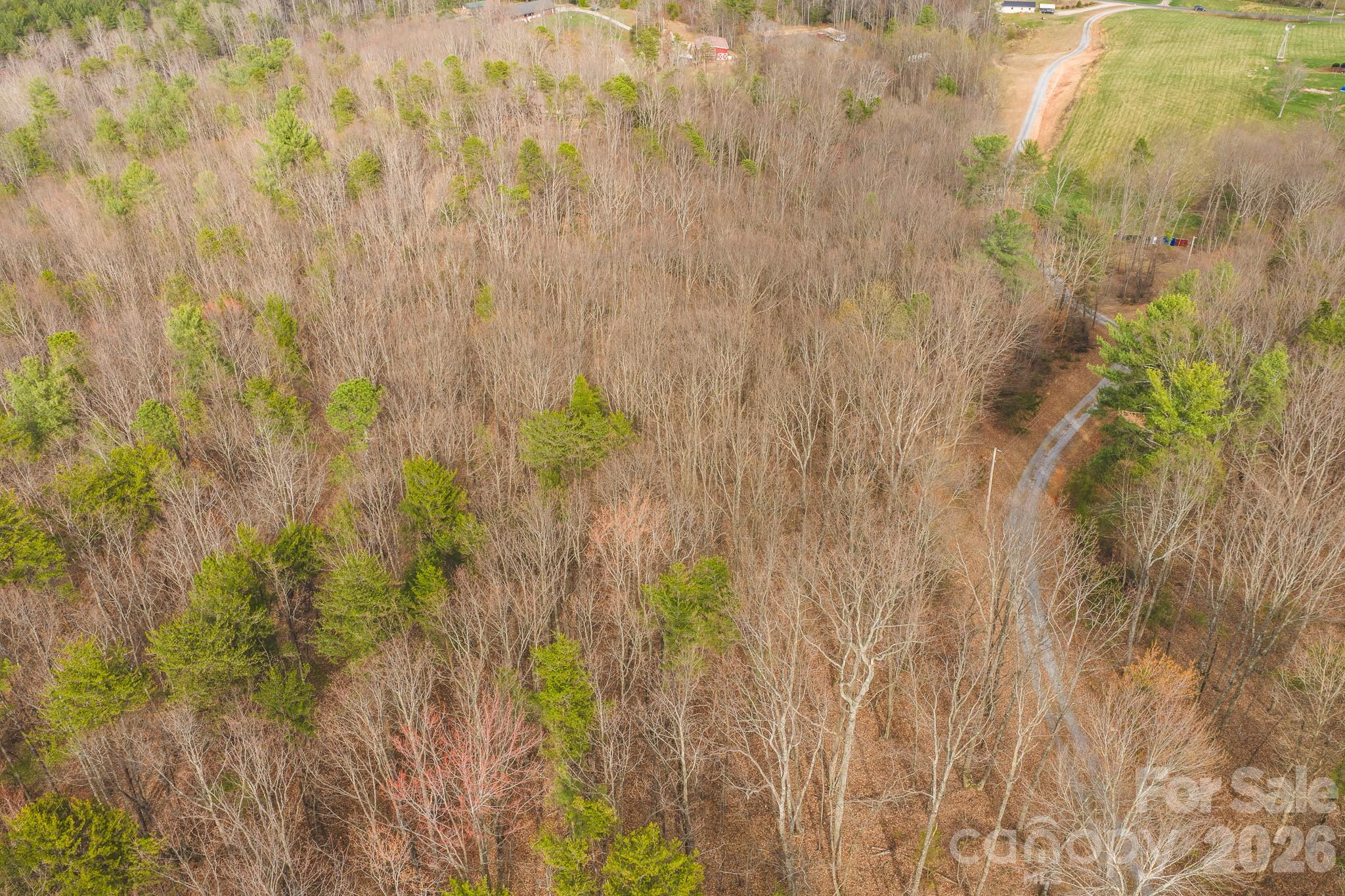 4 All Healing Springs Road, Unit 1 Taylorsville, NC 28681 - Photo 5 of 20