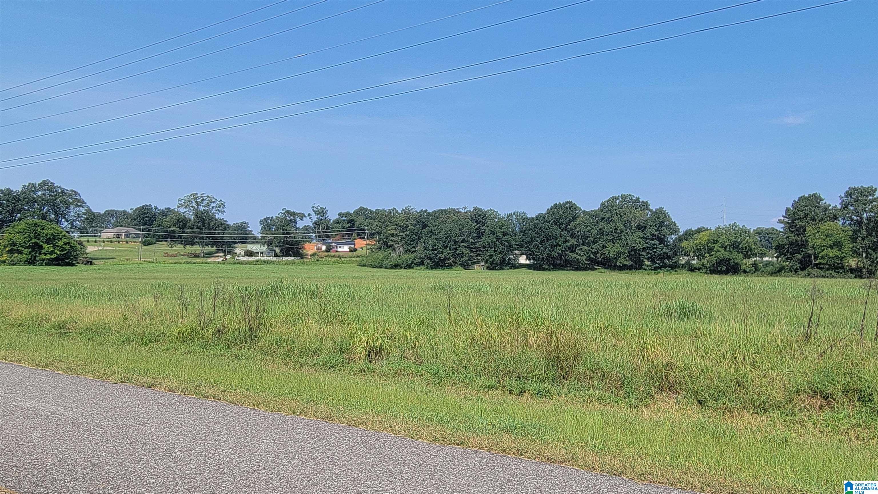 0 Patton Chapel Road, Unit PARCEL 1 Lincoln, AL 35096 - Photo 6 of 6